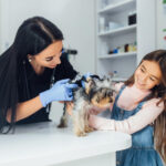 The Importance of Regular Grooming for Your Pet's Health and Happiness