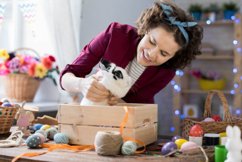 DIY Pet Toys Fun and Easy Crafts to Keep Your Pet Entertained