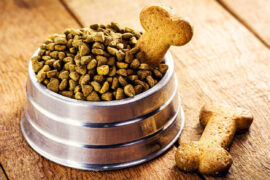 How to Make Homemade Pet Treats Recipes for Healthy and Tasty Snacks