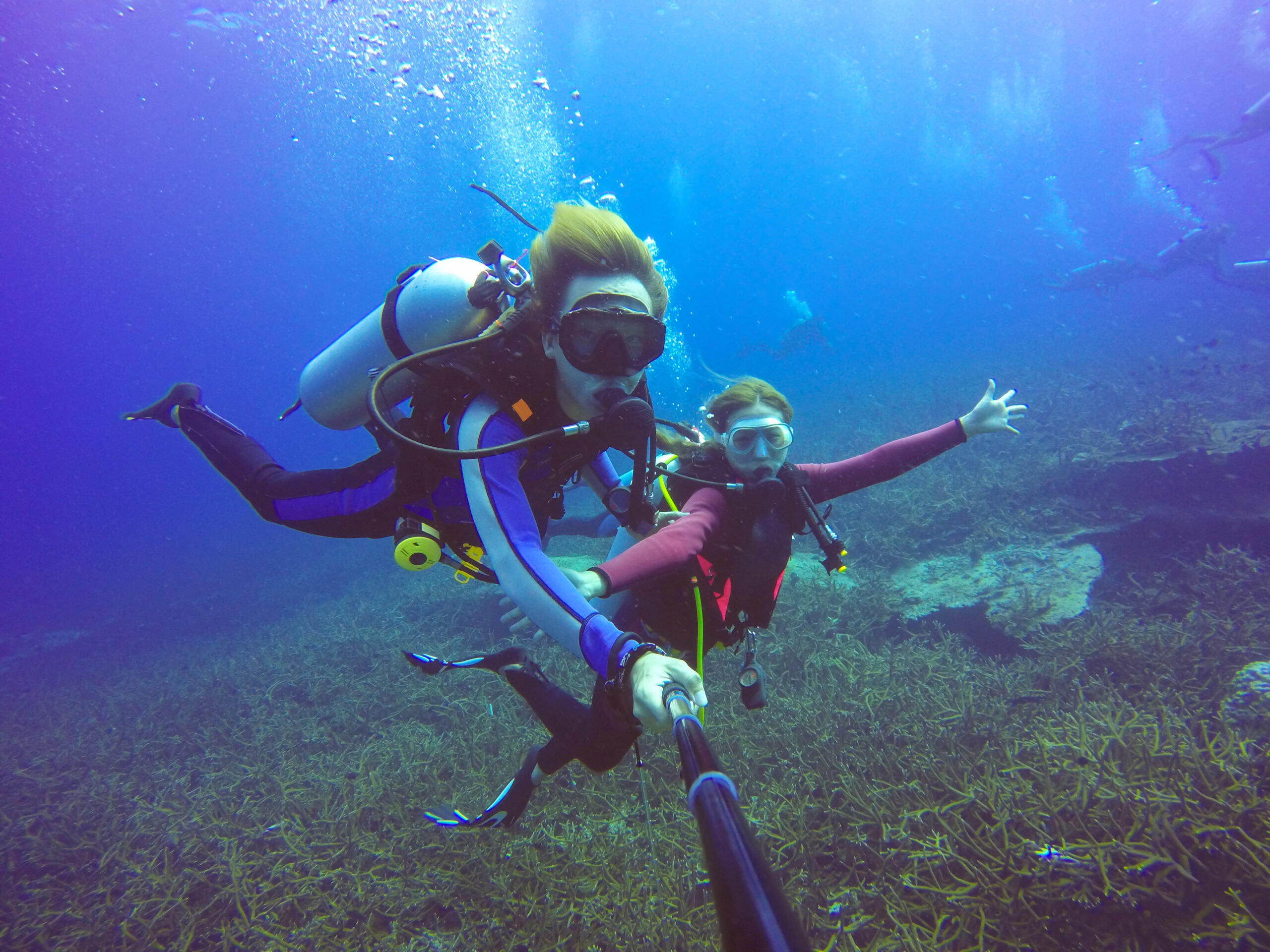 Exploring the Maldives' Marine Life: Scuba Diving and Snorkeling Adventures