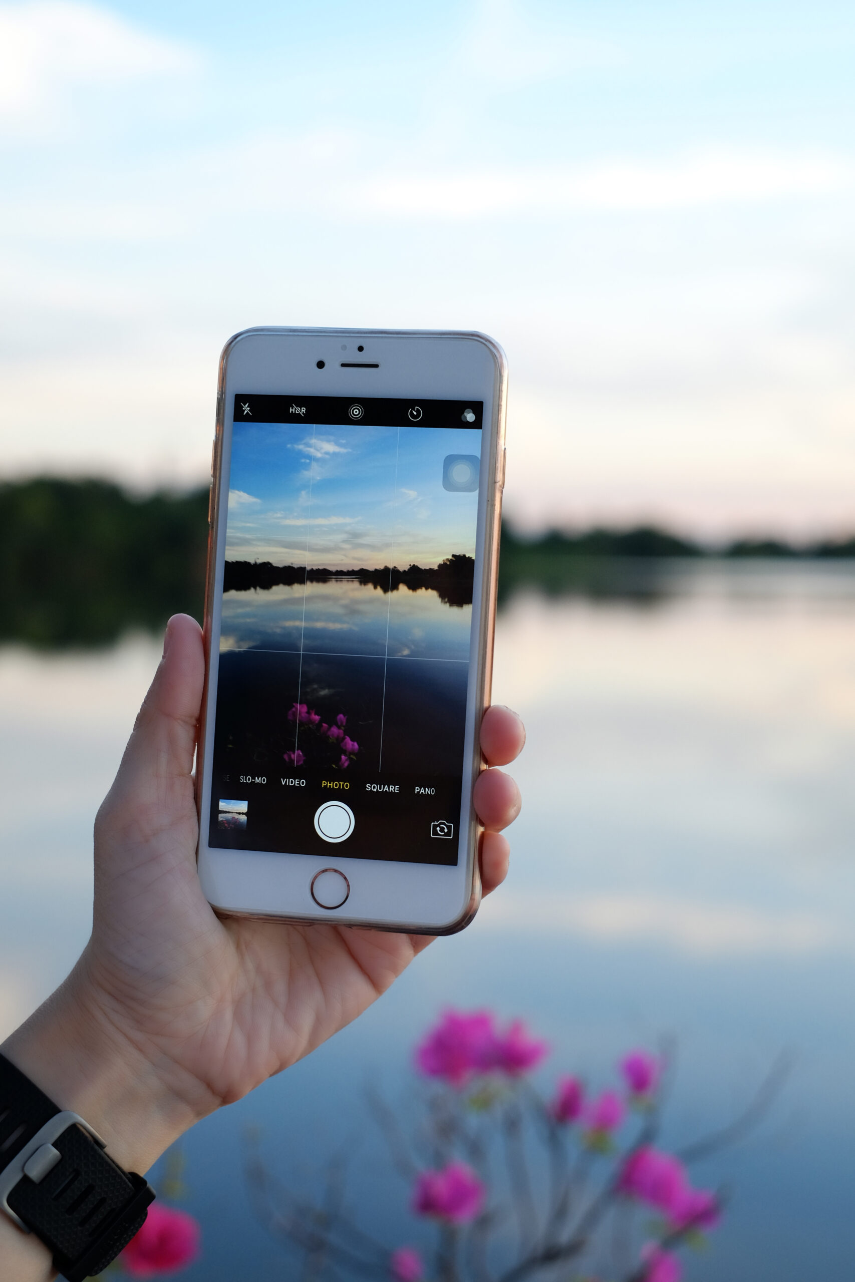 The Top iPhone Photography Tips to Take Stunning Pictures Like a Pro