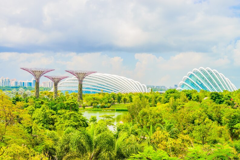 The Lion City Unveiled: Exploring the Charms of Singapore