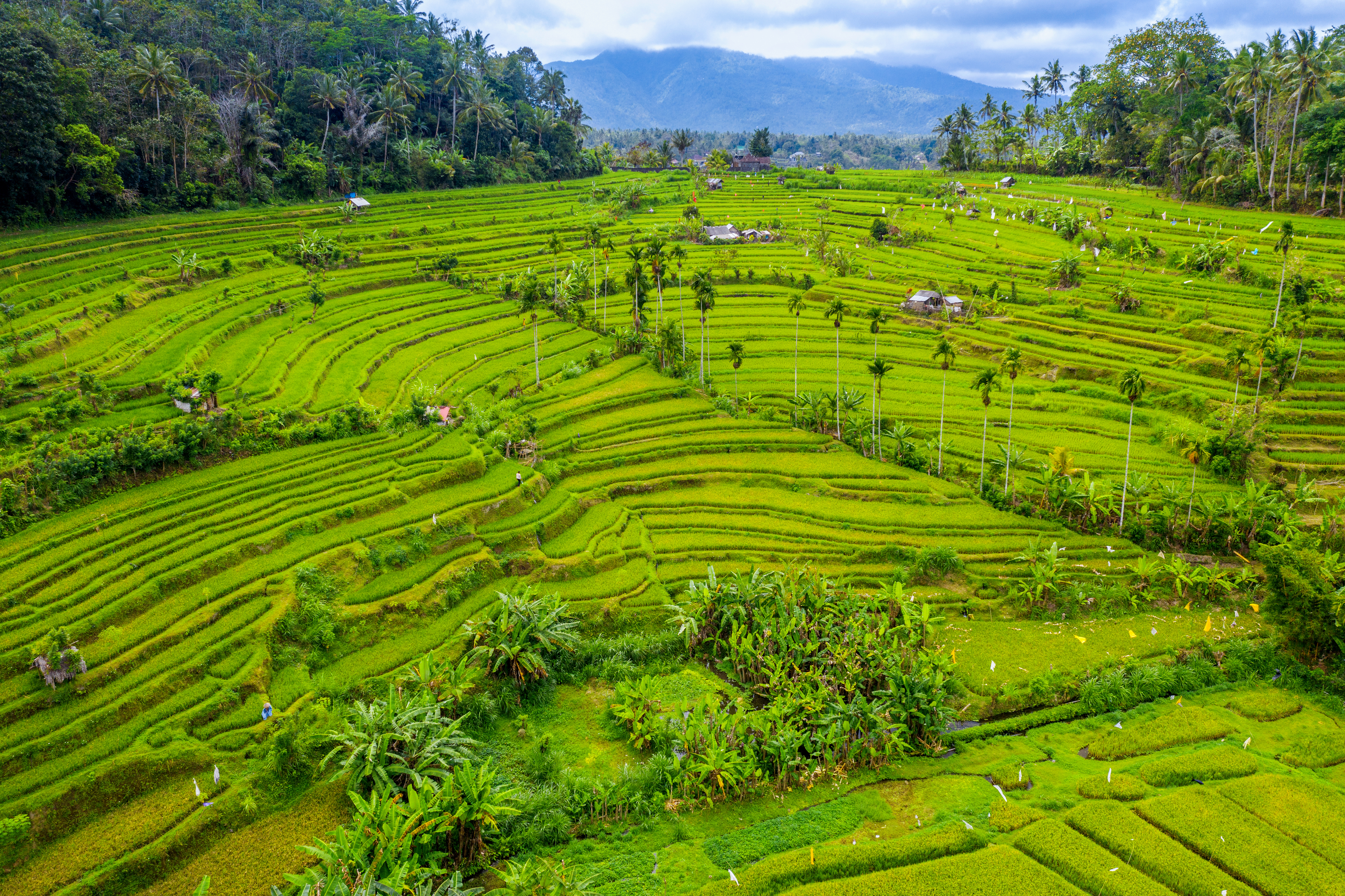 Unforgettable Bali: An Exotic Journey Through Culture, Nature, and Adventure